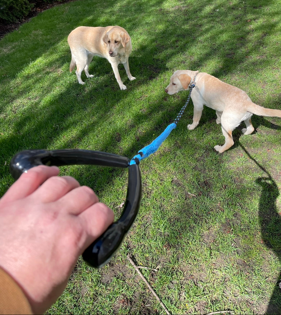 Masterline Dog Leash